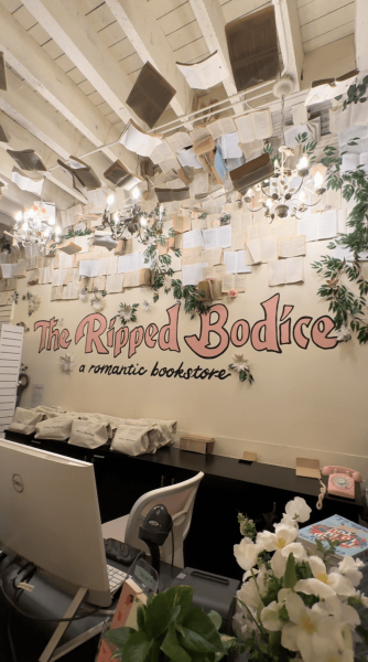 photo taken inside The Ripped Bodice bookstore in Brooklyn New York